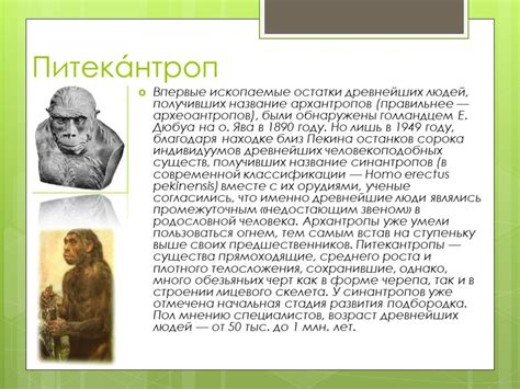 Теории о происхождении шрама