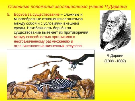 Теория эволюции и дарвинизм