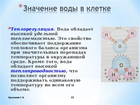 Теплорегуляция в холодных средах