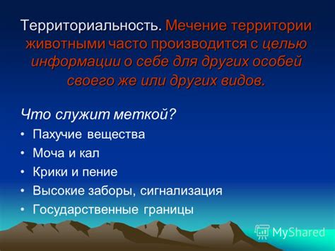 Территориальность и защита своего пространства
