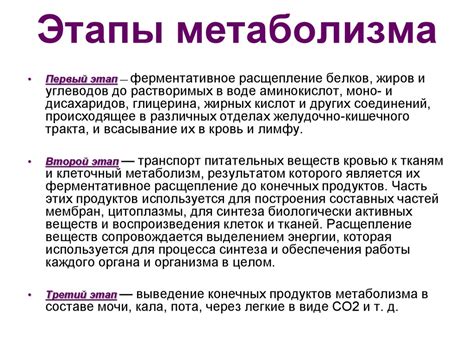 Третий фактор: улучшенная система метаболизма