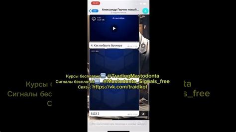 Уведомления и сигналы