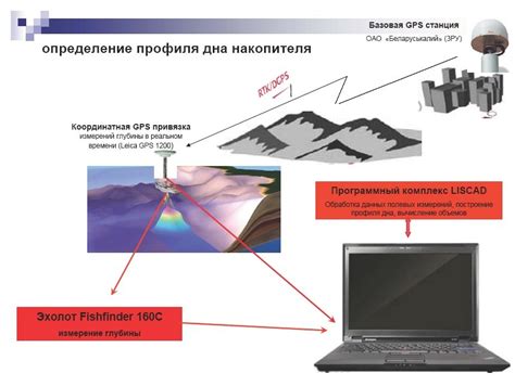 Уникальное использование эхолокации