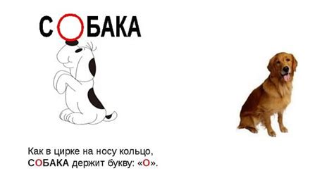 Уникальность написания слова "собачонка"