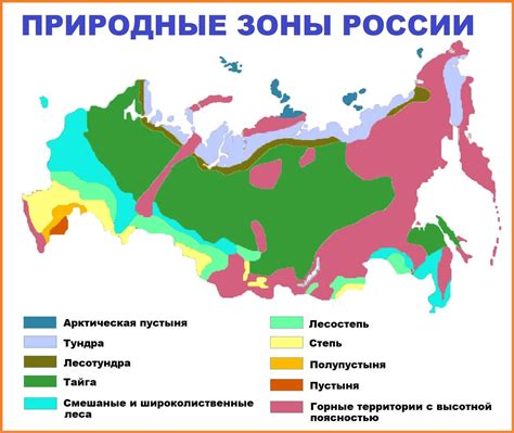 Условия почвы и климата в Ленинградской области, влияющие на посадку пионов
