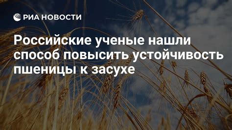 Устойчивость к засухе