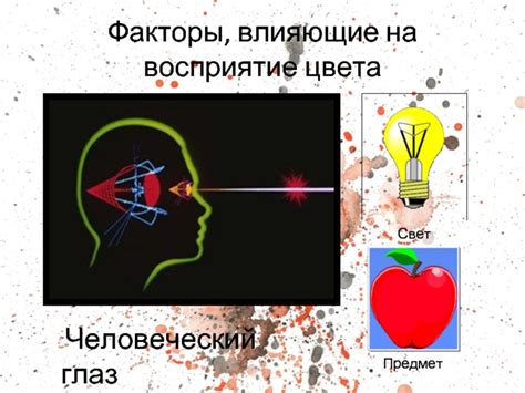 Факторы, влияющие на восприятие цвета глаз другими людьми