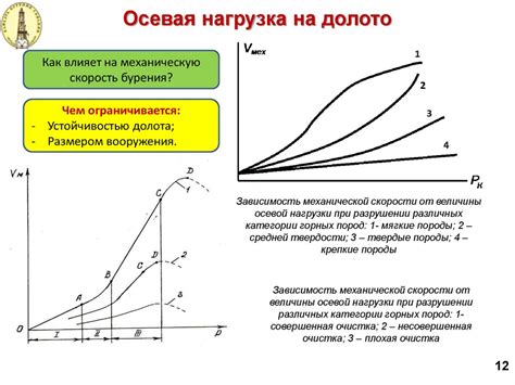 Факторы, влияющие на процесс размягчения огурцов
