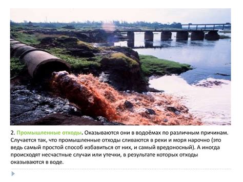 Фенолы в сточной воде: опасное загрязнение и его причины