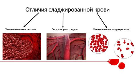 Феномен липкого сока: причины и объяснения