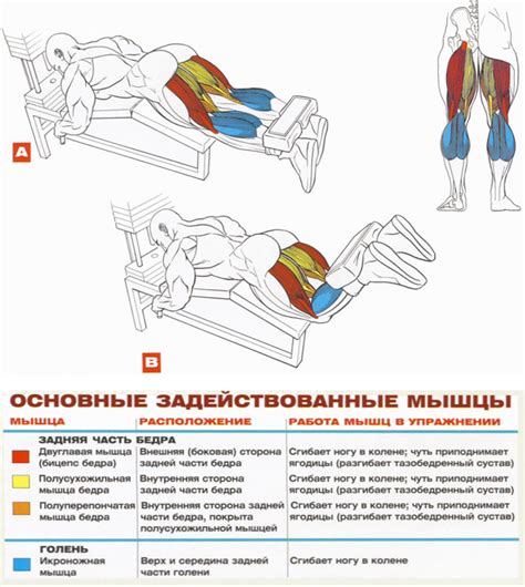Физиологические аспекты сгибания ног во сне