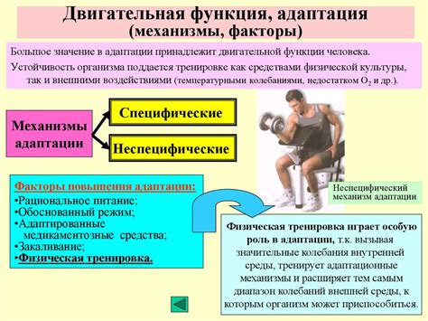 Физиологические механизмы гипергидроза