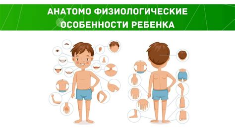 Физиологические особенности строения ног