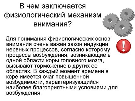 Физиологический механизм зевка