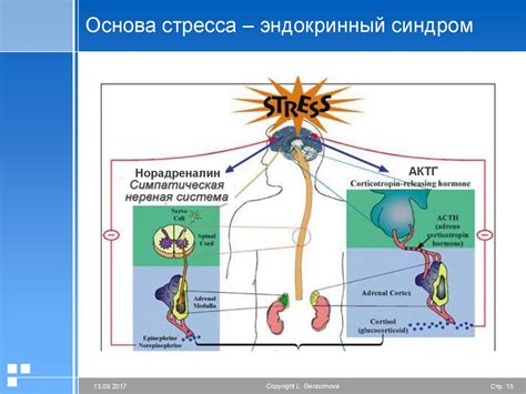 Физическая реакция организма на удаляемый орган