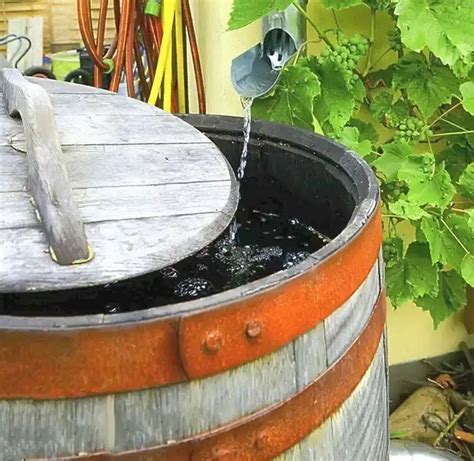 Физические преимущества сидения в бочке с водой и яблоками
