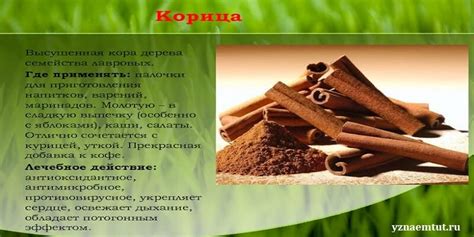 Физические свойства корицы