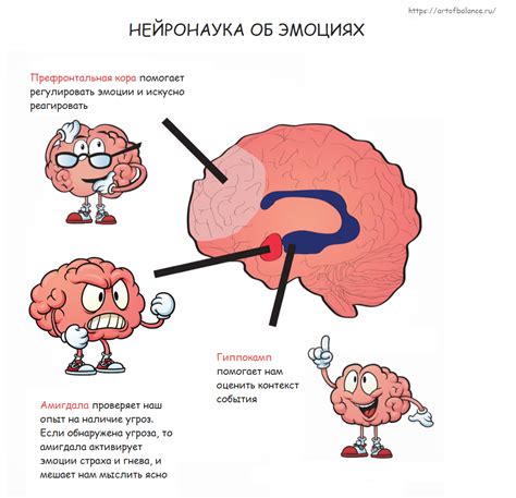 Физическое возбуждение и эмоциональная интенсивность