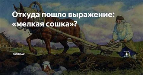 Физическое выражение страсти