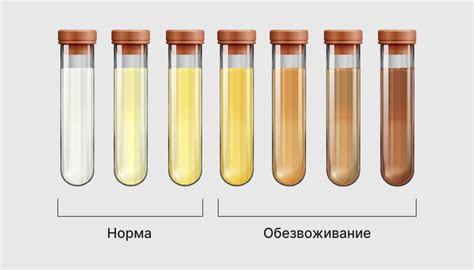 Химическая реакция - основная причина отсутствия пены в моче при использовании соды