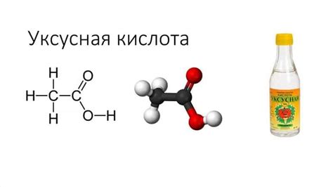 Химический состав уксуса и его влияние на пищеварение