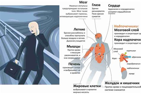 Хронический стресс и нервное напряжение