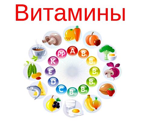 Цельные витамины и их роль