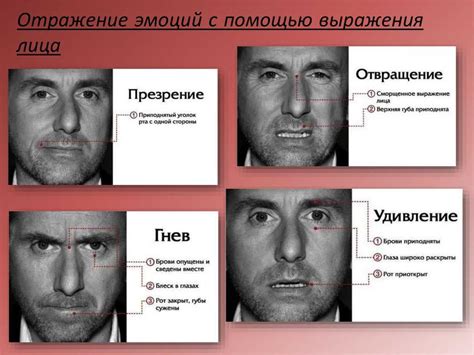 Что говорит лоб: экспрессия и мимика