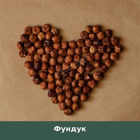 Шоколад как важный источник микроэлементов при пневмонии