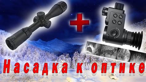 Эволюционная адаптация для ночной охоты