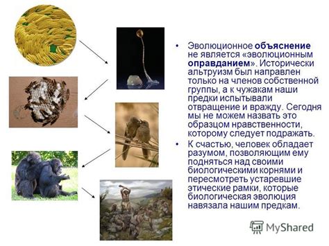 Эволюционное объяснение явления мурашек