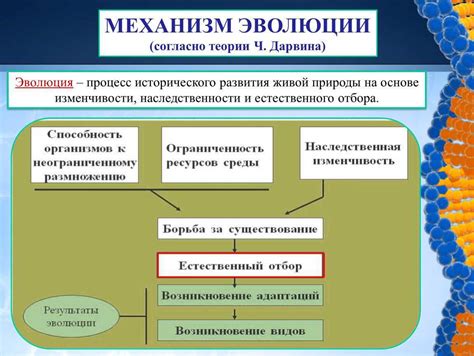 Эволюционные основы кусания