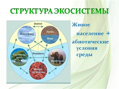 Экологическая роль в биосистеме