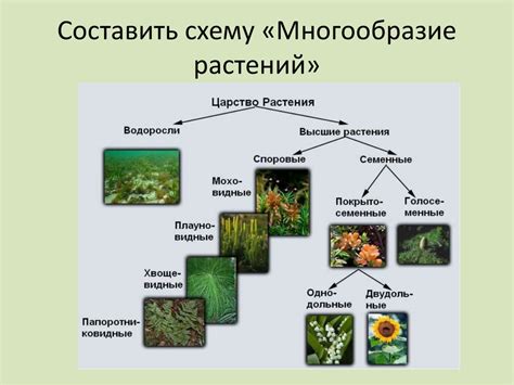 Экосистемные функции ручейков и их значение в природе