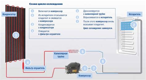 Эффективность и долговечность холодильника