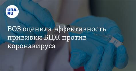 Эффективность прививки