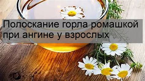 Эффективные способы при полоскании горла ромашкой