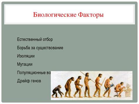 Явление эволюции