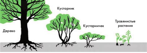  Адаптация к окружающей среде 