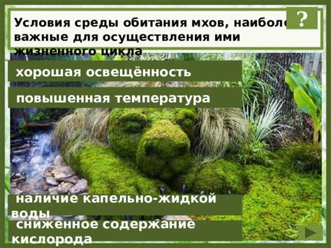  Влажность как фактор обитания мхов 