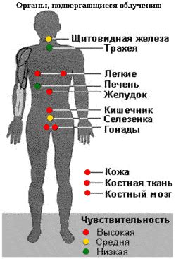  Вредное воздействие давления на прыщи 