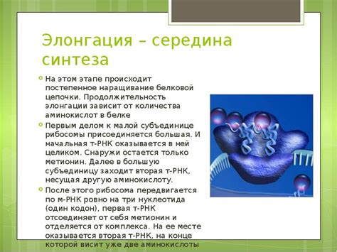  Постепенное наращивание времени сидения 